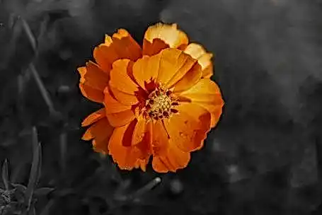 1XSlots зеркало 60e70f